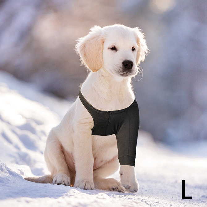 Suitical スーティカル リカバリー・スリーブ L  犬 サポーター 保護服 前脚用 皮膚疾患 エリザベスカラー 犬の服 伸縮  