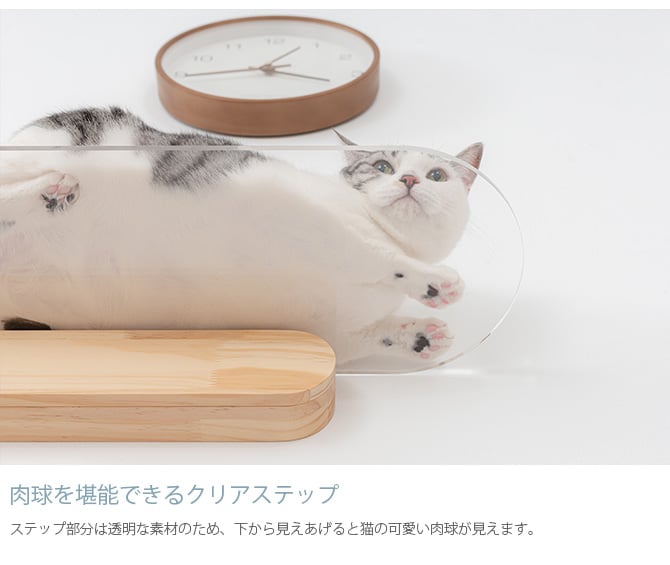 MYZOO マイズー OBLONG 透明キャットステップ 60cm  猫用 キャットステップ キャットウォーク 壁付け 壁掛け クリア アクリル 猫用家具 キャットタワー  