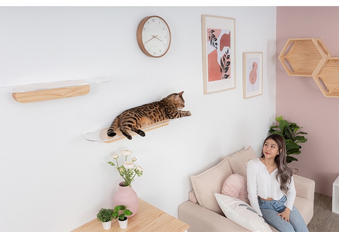 MYZOO マイズー OBLONG 透明キャットステップ 60cm  猫用 キャットステップ キャットウォーク 壁付け 壁掛け クリア アクリル 猫用家具 キャットタワー  