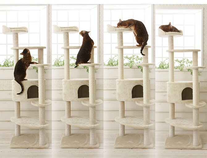 Mau マウ キャットタワー アリエス  キャットタワー タワー 猫用 ハウス 上下運動 据え置き 子猫 シニア猫  
