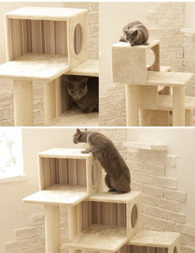 Mau マウ キャットタワー ウォーク  キャットタワー タワー 猫用 ハウス 上下運動 据え置き シニア猫  