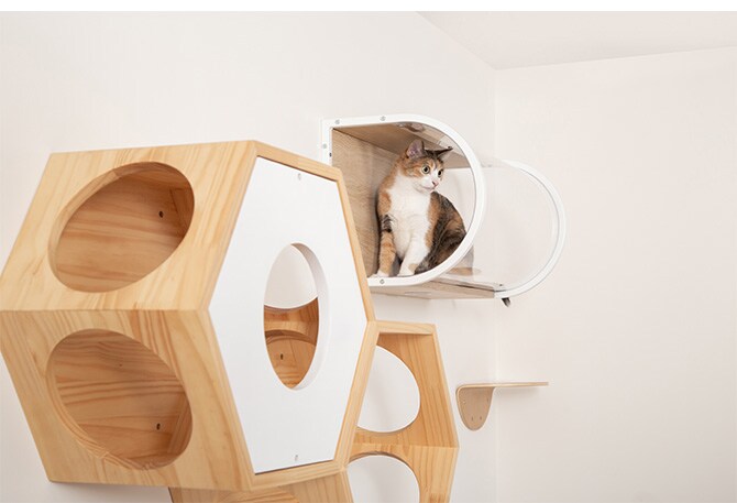 MYZOO マイズー Tunnel  猫用 猫 キャットステップ キャットウォーク クリア 透明 おしゃれ 壁掛け キャットベッド 天井付け  