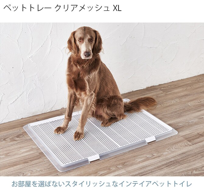 Bonbi ボンビアルコン ボンビ ペットトレー クリアメッシュ XL  犬 犬用 トイレ 大型犬 メッシュ トレー 透明 シンプル おしゃれ  