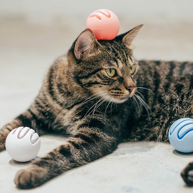 pidan ピダン Cat Toy Ball 猫用おもちゃボール  ボール 猫おもちゃ ネコグッズ 猫グッズ 猫 ネコ ペット ペットグッズ 動物 おしゃれ  