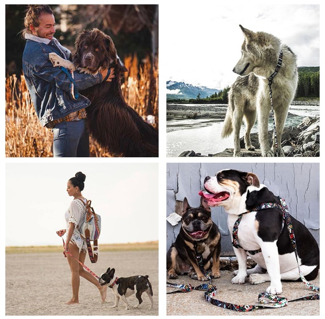 WOLFGANG ウルフギャング Leash 犬用リード M(122×2.5cm)  犬用リード リード 中型犬 犬 イヌ ペット おしゃれ 散歩 お出かけ メンズライク  