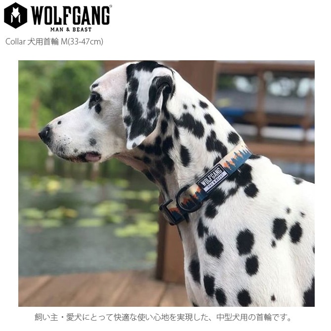 WOLFGANG ウルフギャング Collar 犬用首輪 M(33-47cm)  犬用首輪 首輪 中型犬 犬 イヌ ペット おしゃれ 散歩 お出かけ メンズライク  