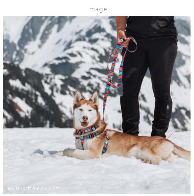 WOLFGANG ウルフギャング Harness 犬用ハーネス S(30-45cm)  犬用ハーネス ハーネス 小型犬 犬 イヌ ペット おしゃれ 散歩 お出かけ メンズライク  