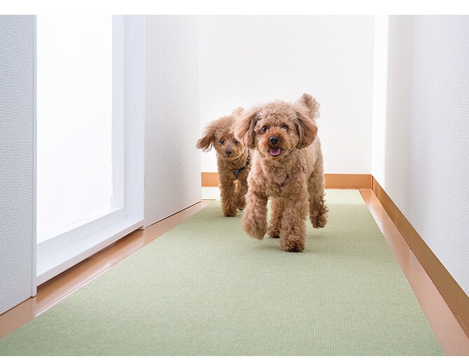 SANKO(サンコー) ペット用床保護マット 60×240㎝  犬 猫 ペット用 マット 撥水加工 おくだけ吸着 フロアマット 傷防止 汚れ防止 ずれない  