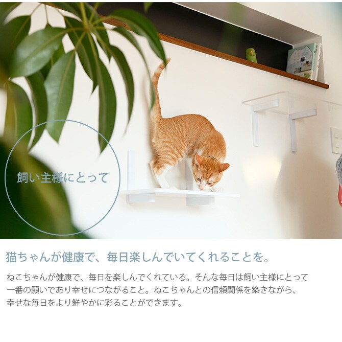 animacolle アニマコレ Catroad+ ウッドステップ  猫用 キャットステップ 木製 キャットタワー キャットウォーク DIY 壁 シンプル 天然無垢材 ウッド  