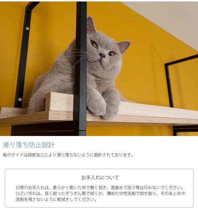 MYZOO マイズー AVENUE 100cm  猫用 猫 キャットステップ キャットウォーク 壁付け 天井付け キャット ステップ ウォーク 屋内  