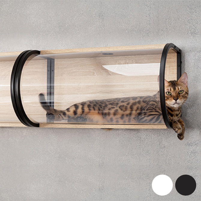 MYZOO マイズー Tunnel  猫用 猫 キャットステップ キャットウォーク クリア 透明 おしゃれ 壁掛け キャットベッド 北欧  