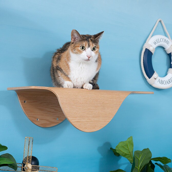 MYZOO マイズー Stingray 単品  猫 キャットステップ 木製 おしゃれ キャットウォーク 大型猫 北欧 インテリア 壁付け 棚板  