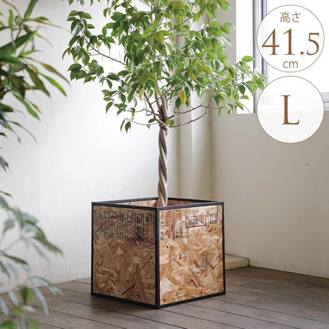 鉢植えを綺麗に プラントボックス L 幅42×高さ41.5cm 