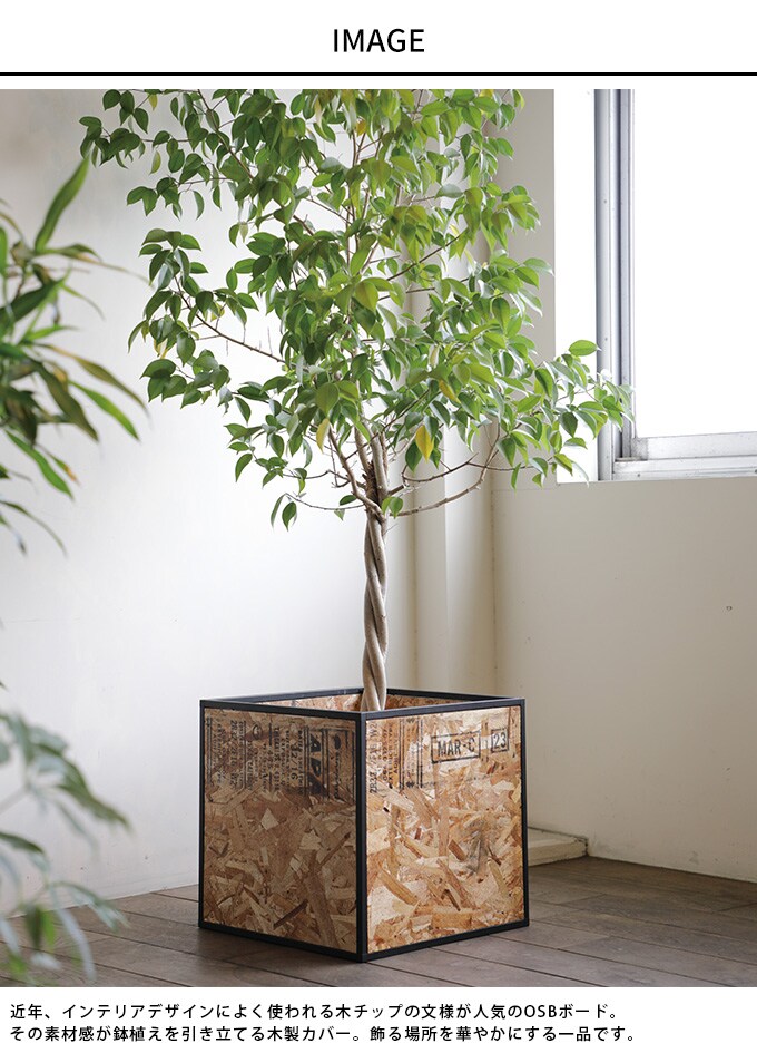 鉢植えを綺麗に プラントボックス L 幅42×高さ41.5cm 