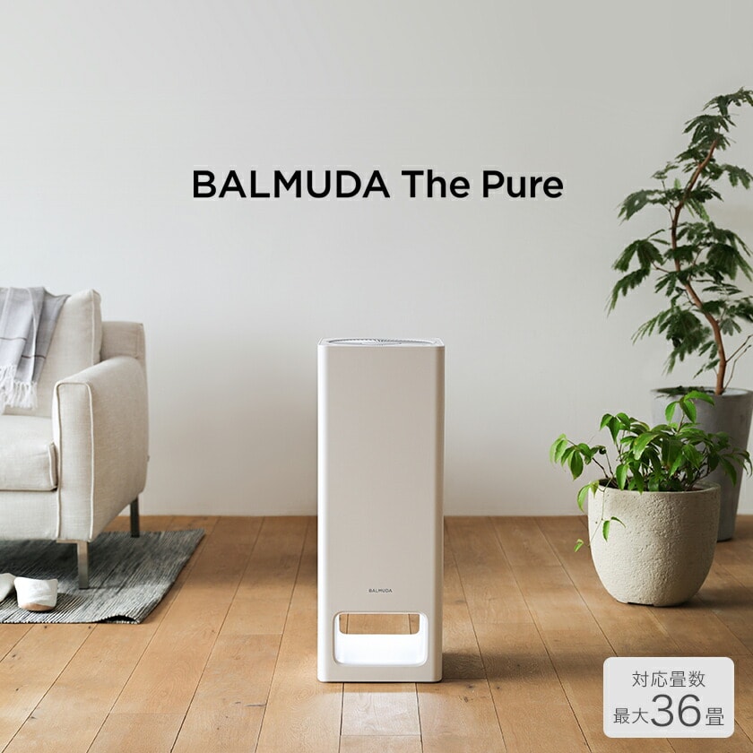 BALMUDA The Pure / バルミューダ ザ ピュア A01A