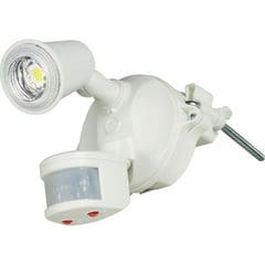 日動工業 LEDセンサーライト(10W×1灯) SLS-CE10W-1P 【返品種別B】