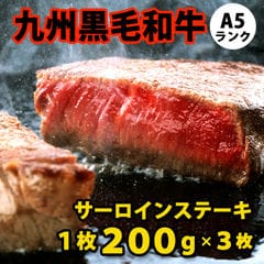 九州黒毛和牛 A5ランク サーロインステーキ 1枚200g×3枚 【S】
