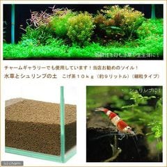 水草とシュリンプの土 こげ茶 １０ｋｇ （約９リットル） （細粒タイプ） 熱帯魚 用品 ソイル 関東当日便