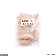 冷凍★Ｌ（１０匹）　カタ養殖　Ｍｉｃｅ４　冷凍ピンクマウス　　パック　冷凍マウス　別途クール手数料　常温商品同梱不可