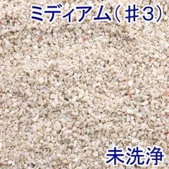 未洗浄 サンゴ砂 ミディアム（＃３） ３Ｌ 海水水槽用底砂 お一人様６点限り 関東当日便