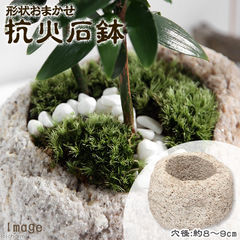 形状おまかせ　抗火石鉢　中　穴径８～９ｃｍ　１個　ミニミニ盆栽鉢