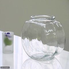 おしゃれなガラス製金魚鉢　太鼓鉢　中（３．８リットル） 関東当日便