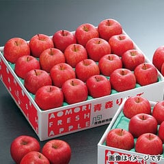 【2021年12月上旬発送開始予定】青森りんご「サンふじ」 5kg 18個～20個