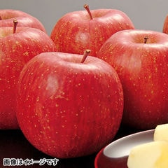 サンふじ 秀 3kg（9個～11個） 長野県産 リンゴ