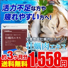 送料無料 牡蠣肉エキス サプリ 約３ヵ月分 ギフトにも最適