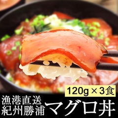 紀州勝浦のマグロ丼 120g×3食 冷凍 まぐろ 鮪 漬けマグロ 冷凍食品 総菜