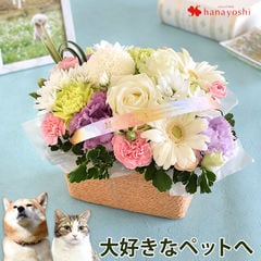 ペットに贈るお供え生花アレンジメント「ciel-NEW シエル」【持ち運び用袋付】花由