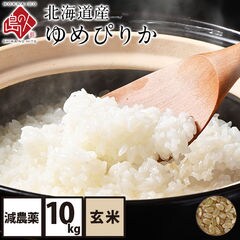 【玄米】令和3年度産 ゆめぴりか 北海道産 10kg(5kg×2) 【送料無料】