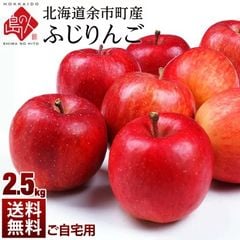 北海道 余市産 りんご リンゴ2.5kg（訳あり品・品種：ふじ）【送料無料】 取れたてをお届け 北海道産 お土産 お取り寄せ ギフト プレゼント りんご 食品 食べ物 果物 フルーツ