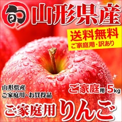 【出荷中】訳あり りんご サンふじ 5kg (ご家庭用/13玉～22玉入り/生食可)