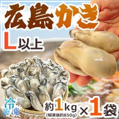 ”広島産 むき牡蠣” 大粒Lサイズ以上 約1kg（解凍後正味約850g）加熱用/生/冷凍剥きカキ/牡蛎 送料無料（冷凍便）