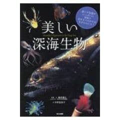 美しい深海生物 /藤原義弘 中野富美子