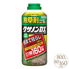 除草剤 粒剤 クサノンEX粒剤 800g 除草 薬品 粒 薬 おすすめ 簡単 らくちん 庭 掃除 家庭用