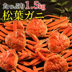 蒸し松葉がに約1.5kg詰（3～5枚入） 訳あり 日本海産 かに カニ 蟹 送料無料（北海道・沖縄を除く）