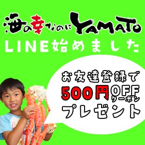 【海の幸なのにYAMATO】5,000円以上購入で使える500円OFFクーポン